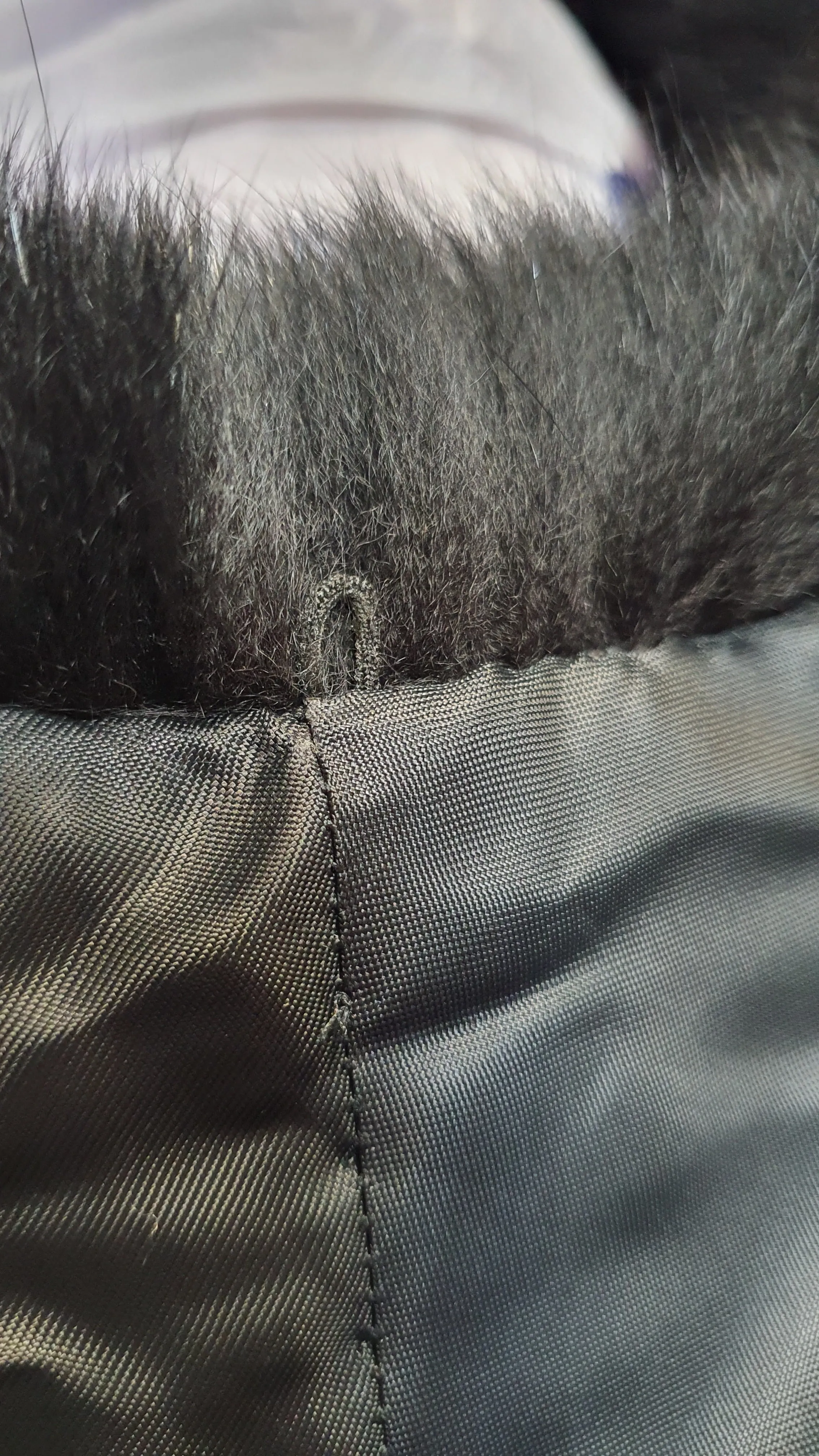 Black polar fox collar