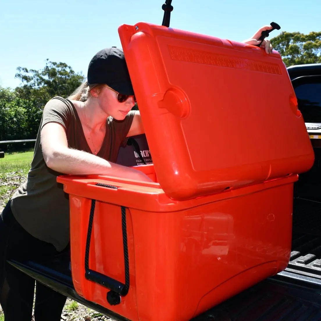 BlackWolf 35 Hardside Cooler