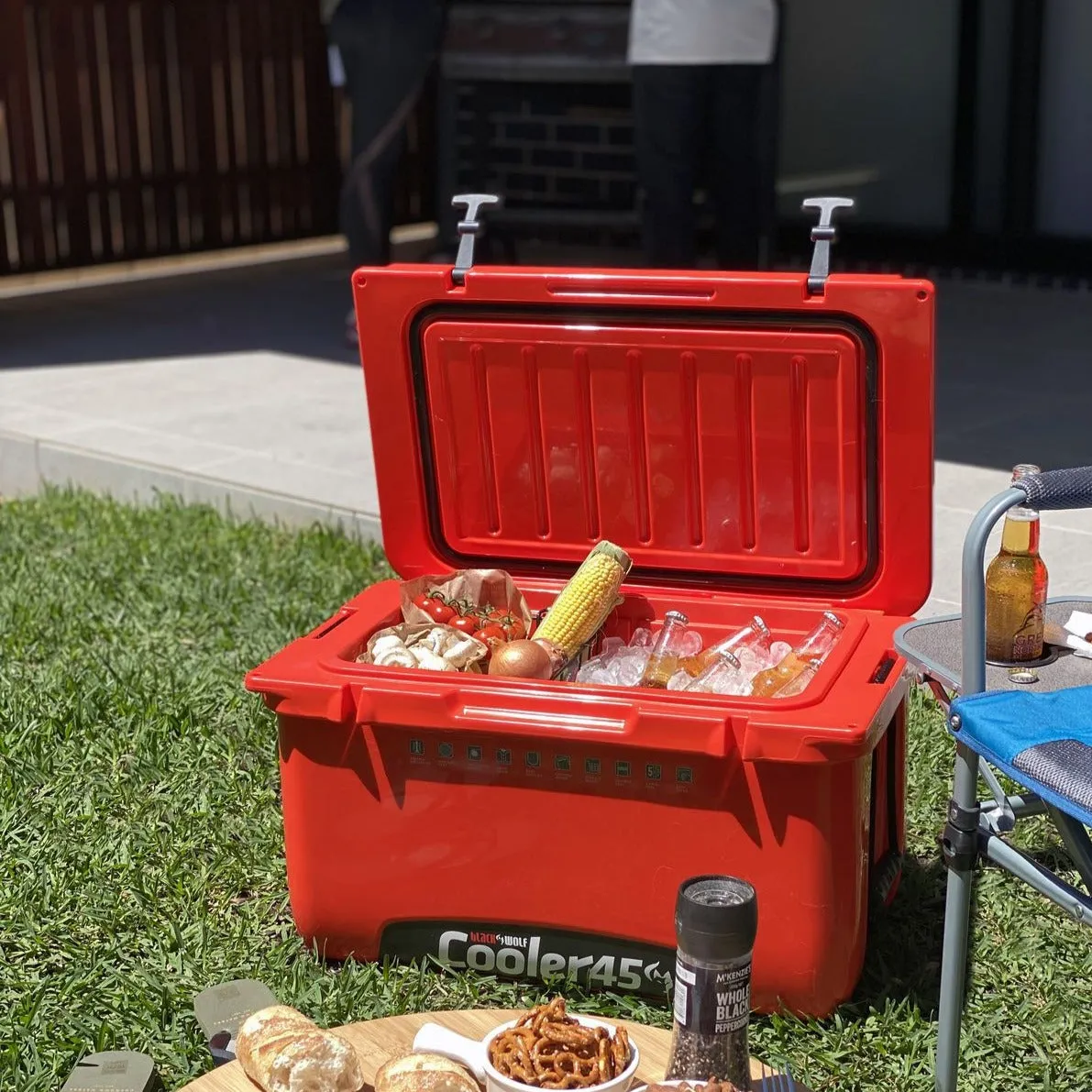 BlackWolf 35 Hardside Cooler