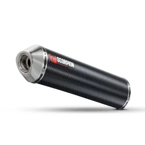 Honda CBR 954RR Fblade 02-04 Factory Round Slip-on Carbon (EHA75CEM)