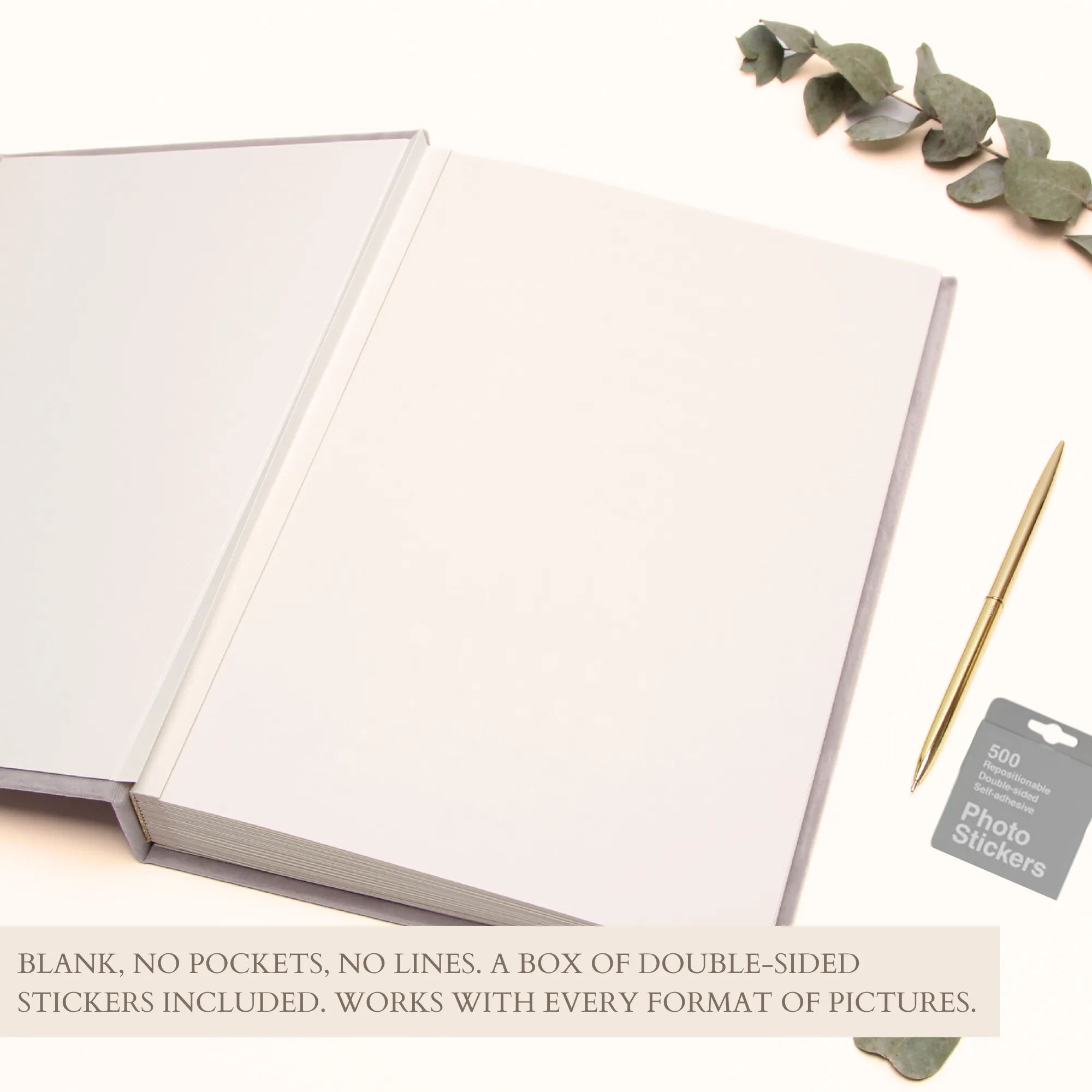 Latte   Real Gold | Guest Book