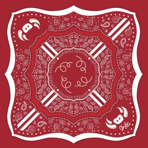 The Fayetteville Scarf 24in
