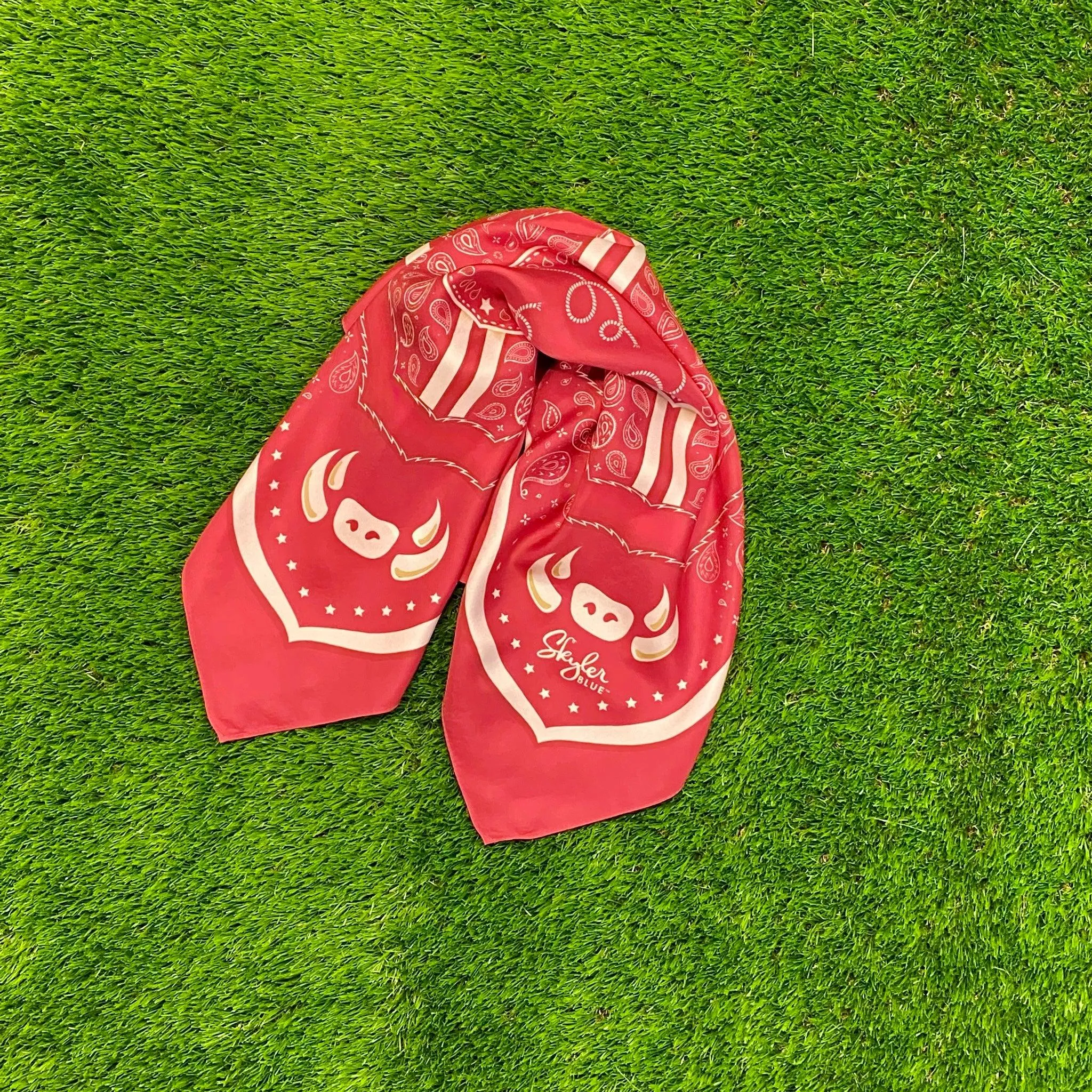 The Fayetteville Scarf 24in